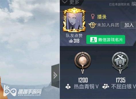 和平精英辅助【彩虹】
