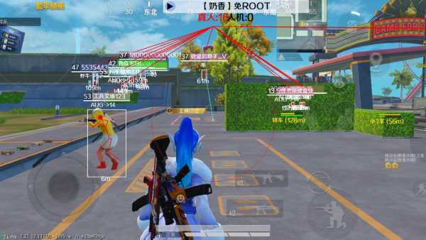 突破游戏界限：探索和平精英辅助工具的神秘世