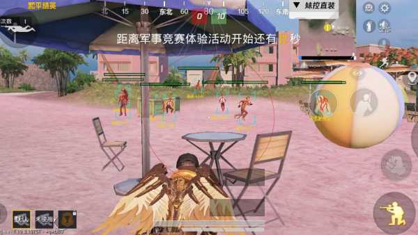 和平精英辅助【火焰鸟直装V6.0终极修复版】射线透视 准星聚点 空投透视 人物变大 显示手持 透视雷达