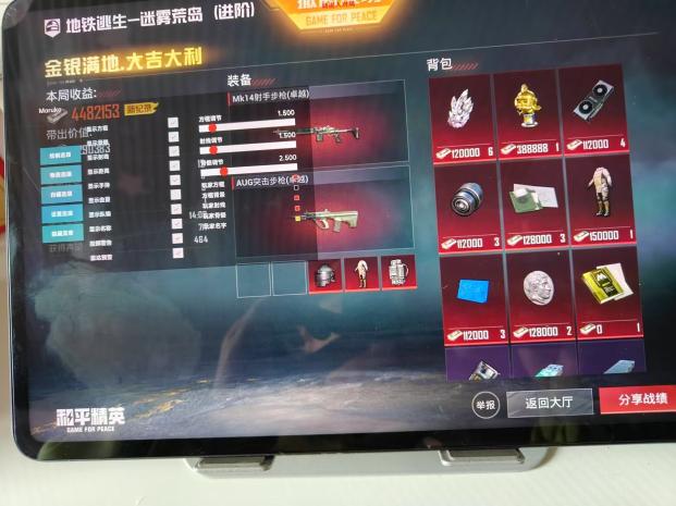 和平精英辅助【内部G简洁版】
